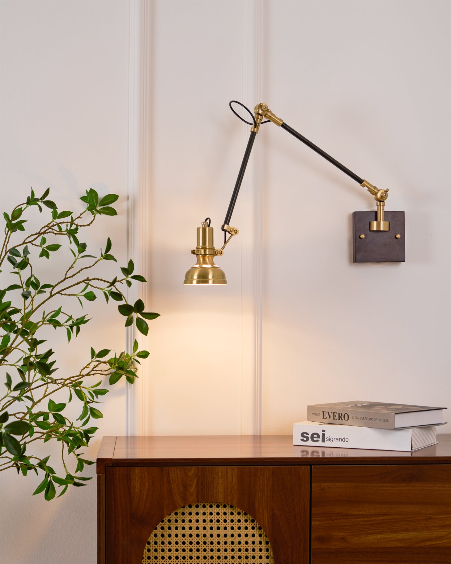 Kane adjustable wall sconce in living room with green plants and wooden cabinet styling