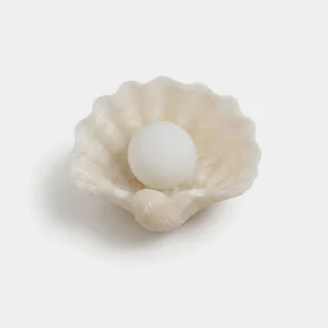 Hand-carved alabaster seashell wall sconce with frosted glass globe and brass mount displayed on white studio background—flat lay top-down view
