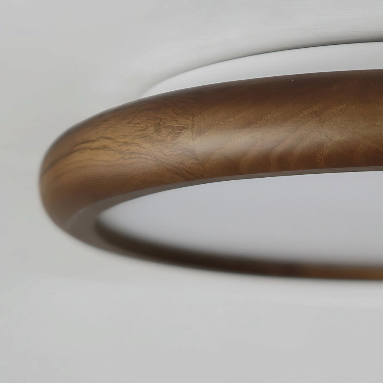 Modern flush mount ceiling light with botanical relief in contemporary interior, close-up architectural detail