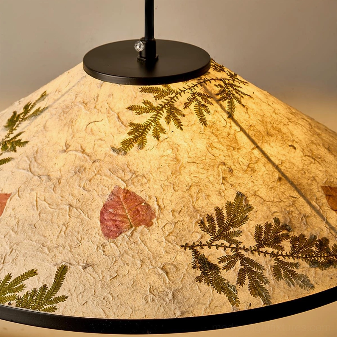 Side angle view of botanical pendant lamp shade showing the delicate dried botanical elements inside