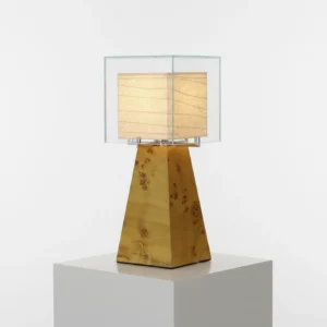Modern minimalist burl wood table lamp with glass enclosure and paper shade - front view on white display pedestal