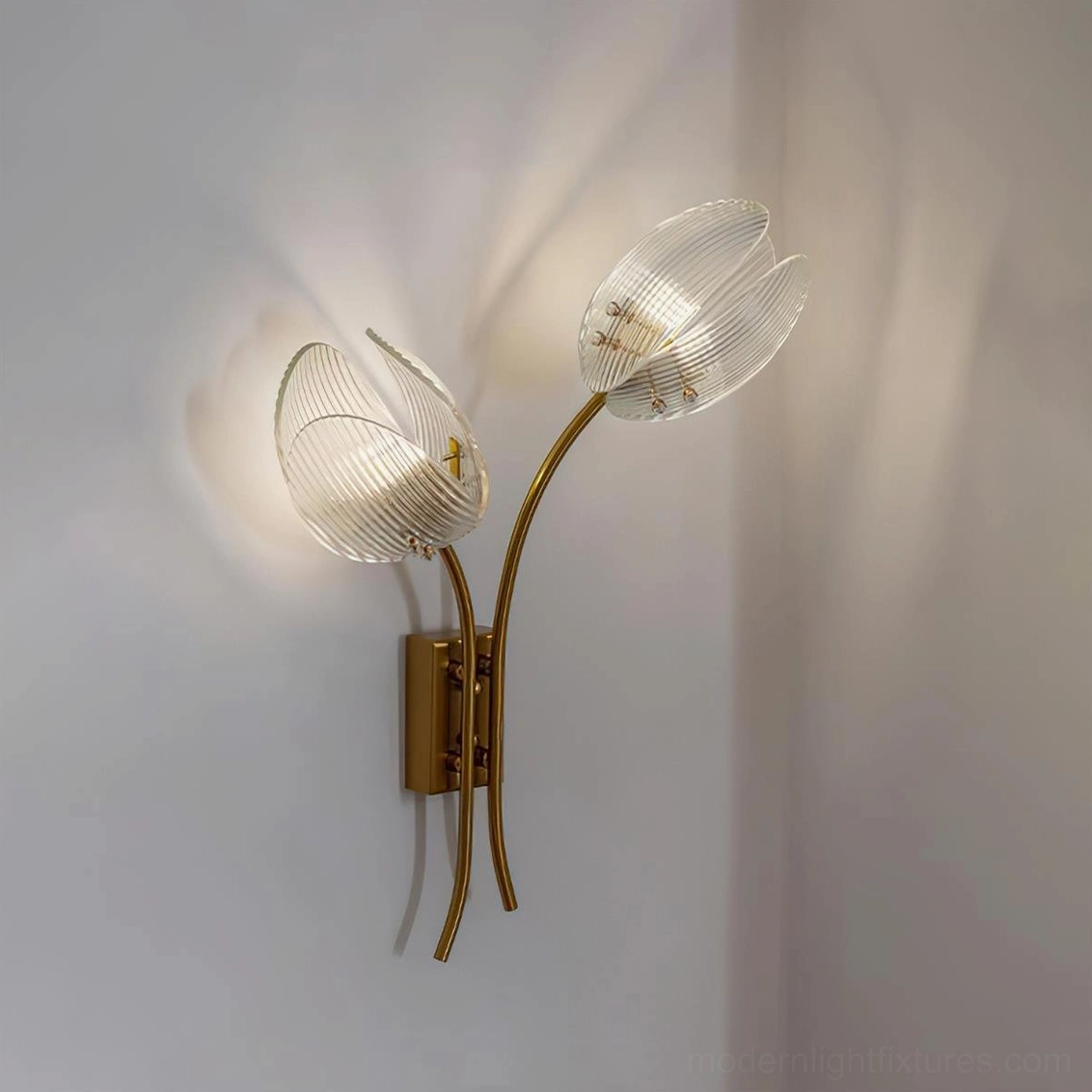 Calyssa wall sconce in clear glass with ribbed texture and warm brass gold finish, three-quarter lit view showing shadow patterns