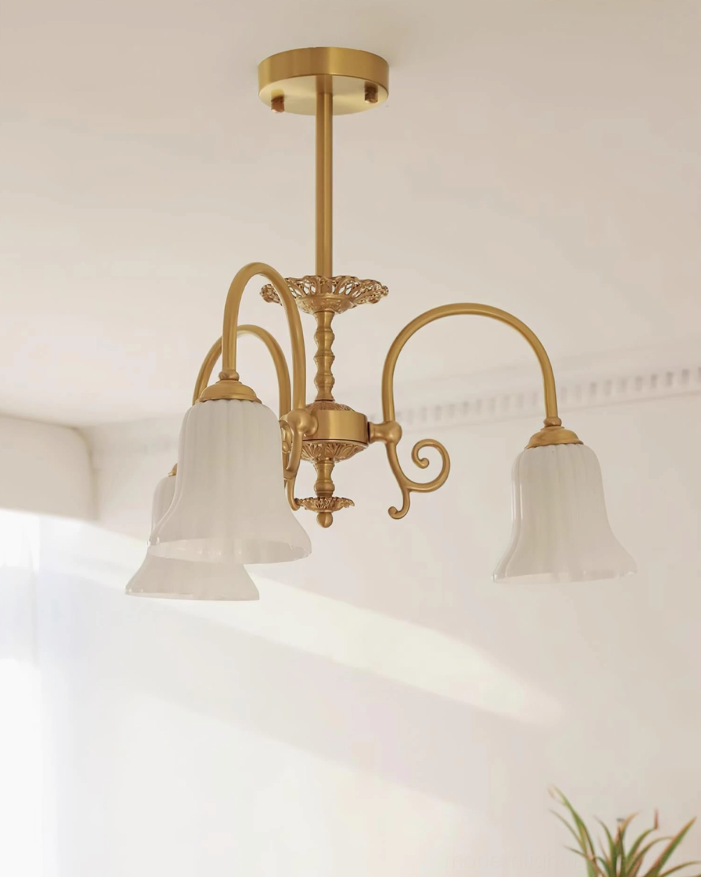 Side angle view of brass chandelier with curved arms and frosted white trumpet glass shades