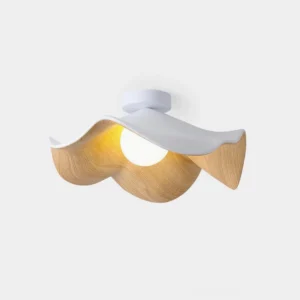 Casia modern ceiling light with textured resin globe and wood-grain metal frame, front studio view