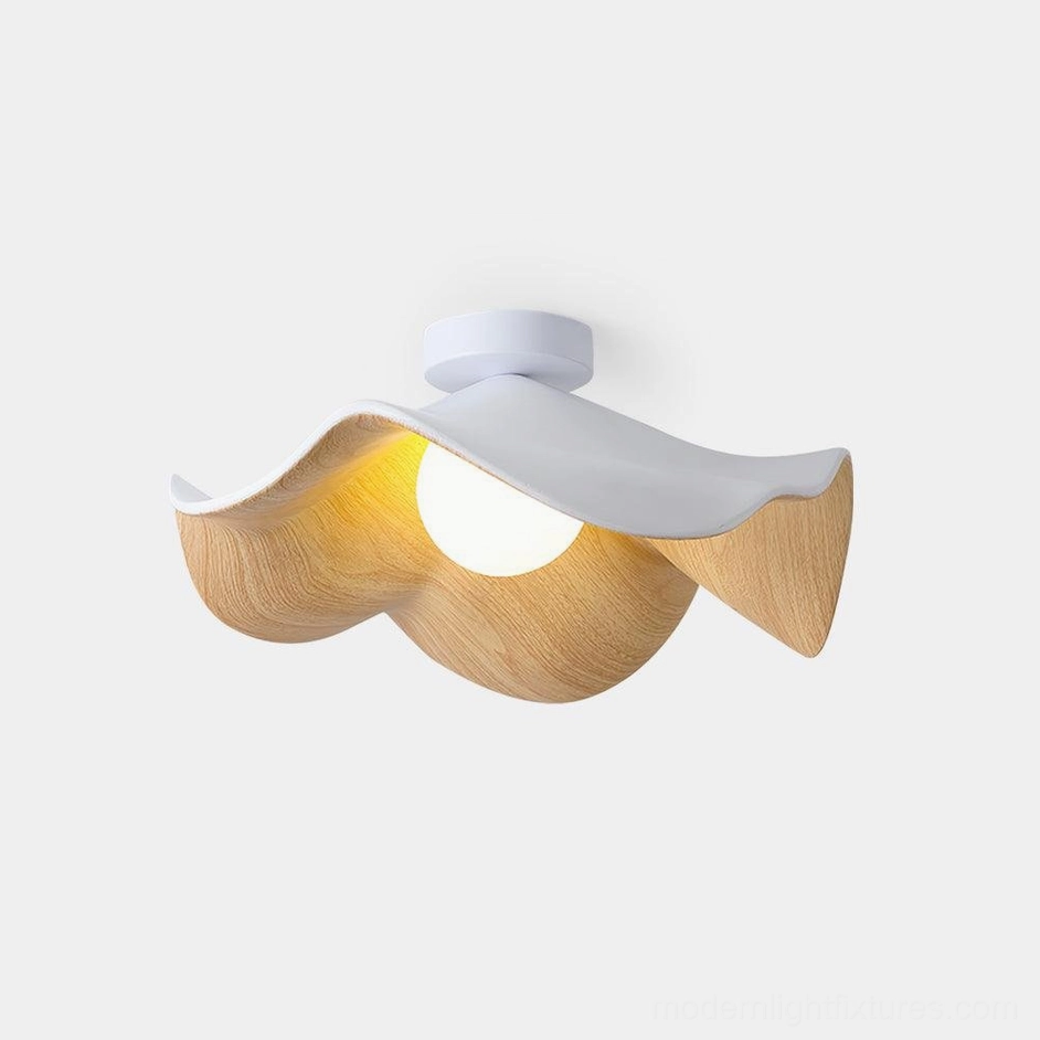 Casia modern ceiling light with textured resin globe and wood-grain metal frame, front studio view