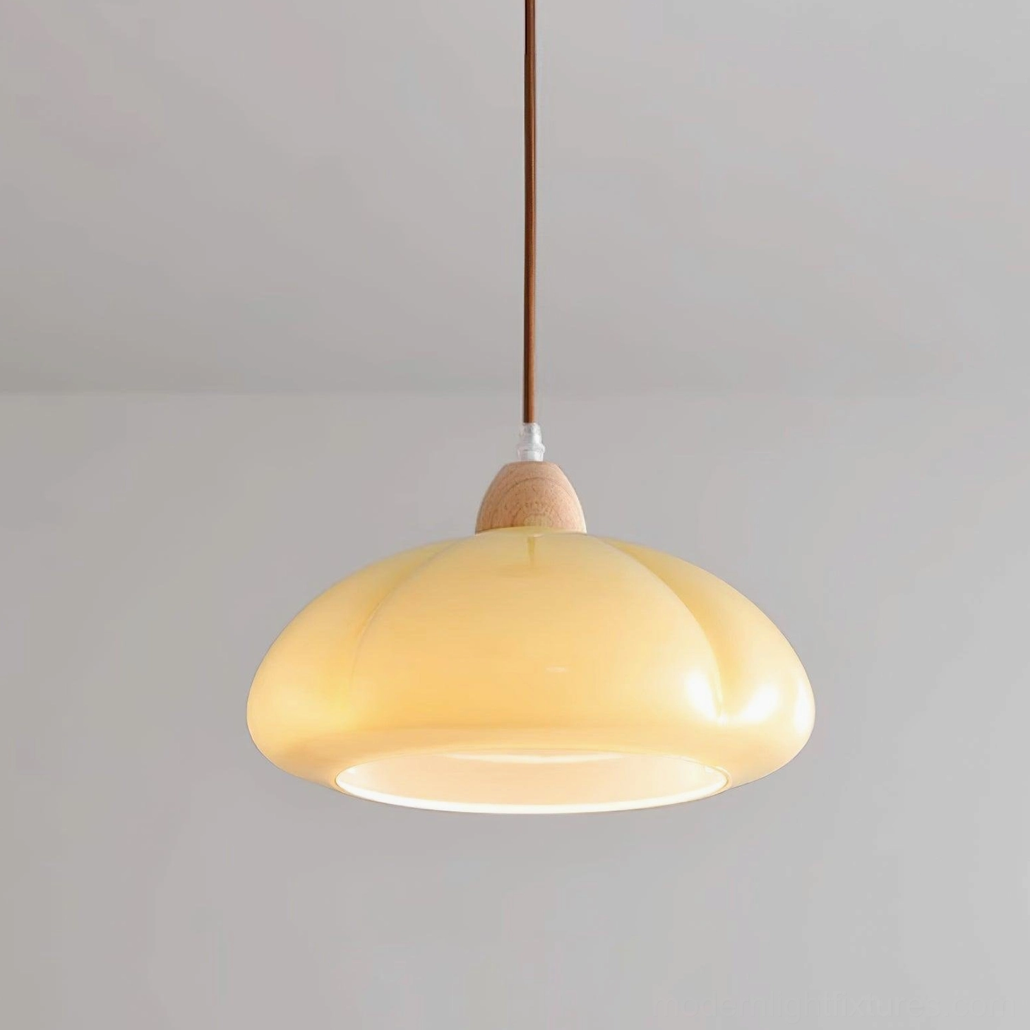Cipola mushroom pendant light with ip20 rating interior use specification