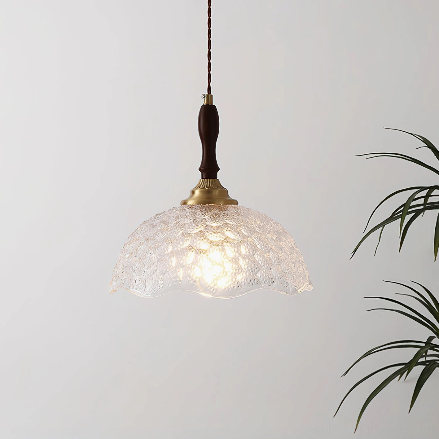 Clear transparent embossed glass pendant light with classic vintage design, hanging with potted plant