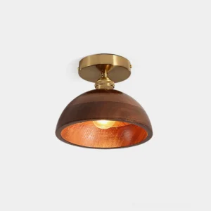 Collar wood ceiling lamp with brass canopy and walnut dome shade in studio lighting