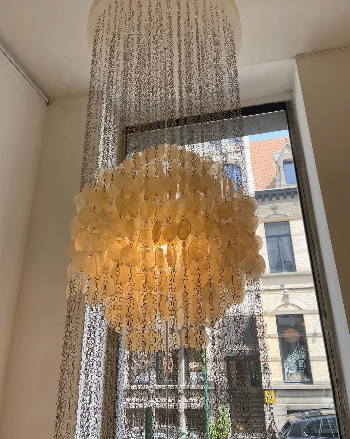 Contemporary white shell chandelier fixture showing cascading shell clusters and sculptural design in modern home