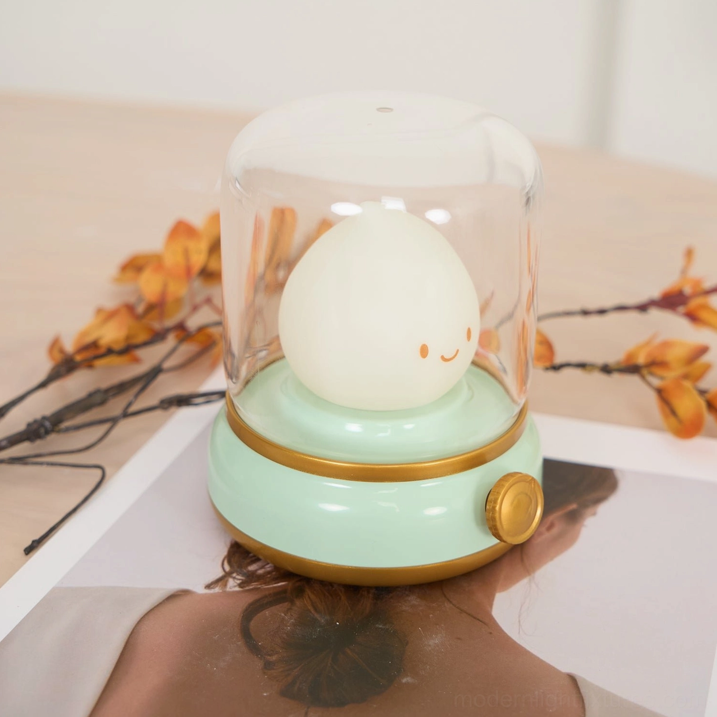 Flame LED portable rechargeable lamp, USB cable charging, carry anywhere illumination, cordless