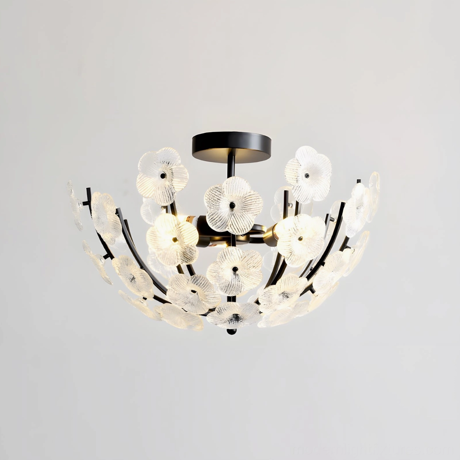 Fleurin clear floral ceiling lamp with modern black metal frame, illuminated front view