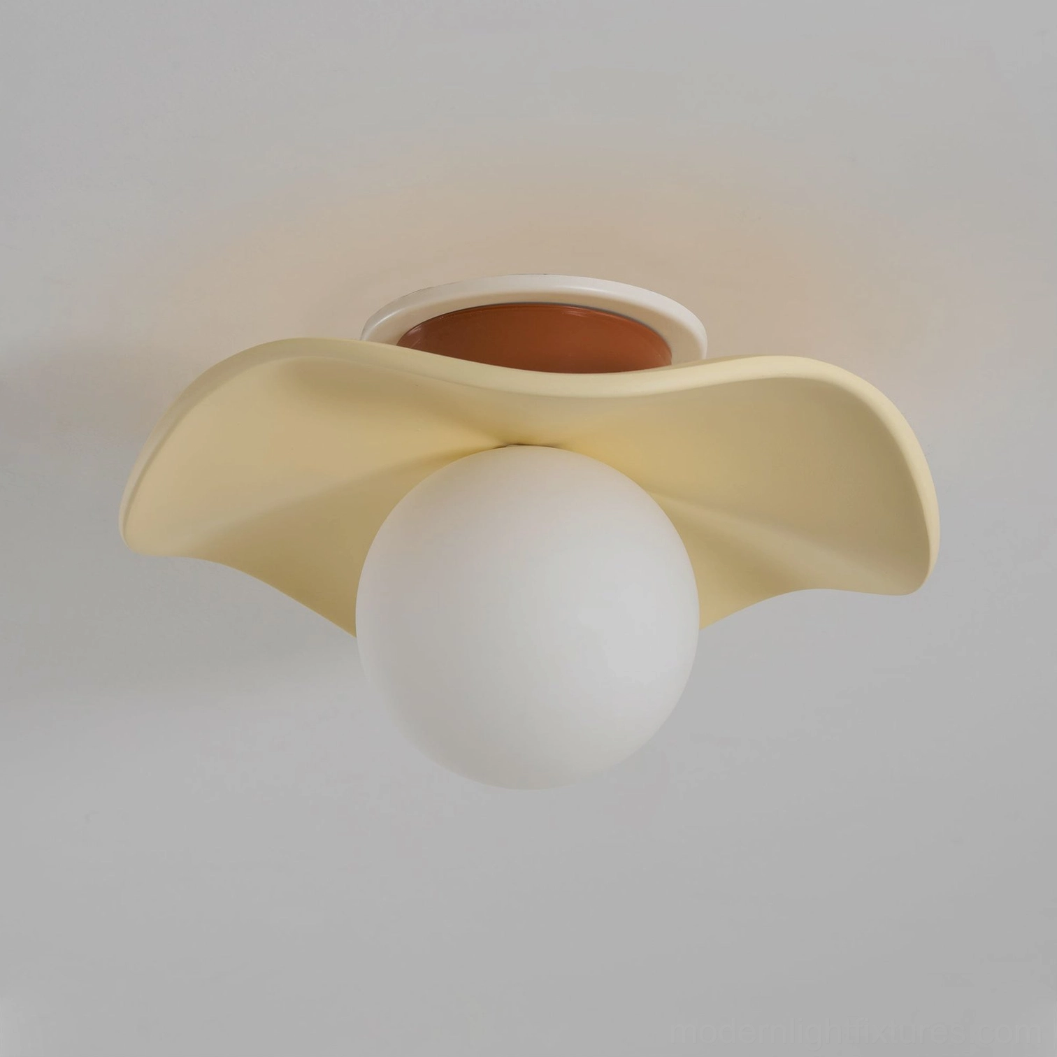 Gand ceiling light fixture showing metal canopy and ceiling mount bracket installation