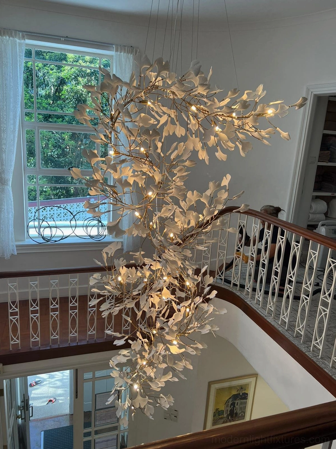Ginkgo pendant chandelier display showing proportional size and dimensional balance