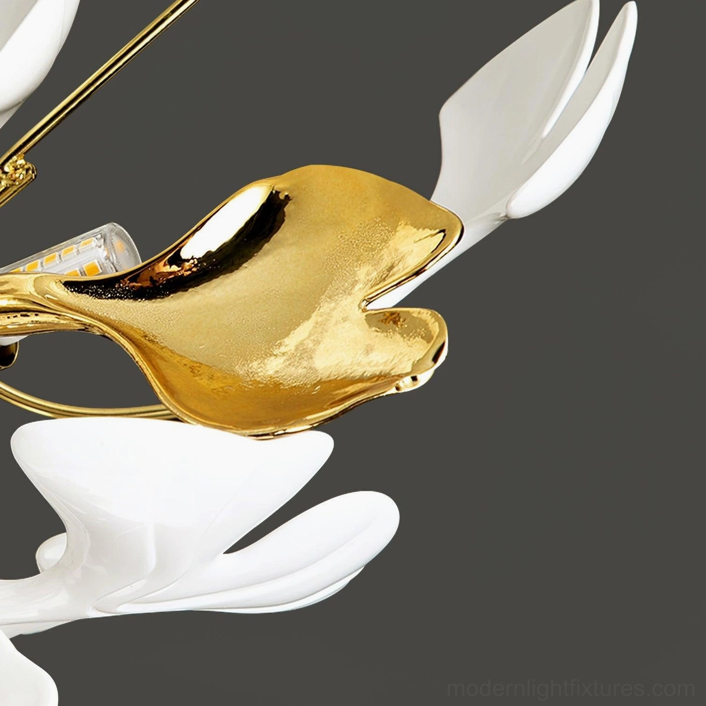 Ginkgo Valla modern ceiling light fixture showing size comparison and scale of ginkgo leaf design elements