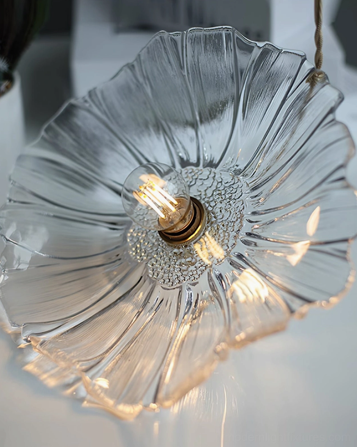 Glass petal pendant light hanging from adjustable cord with brass hardware