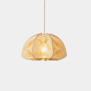 Hand-woven rattan pendant light with natural wood dome shade, close-up front view showing intricate weave pattern and craftsmanship
