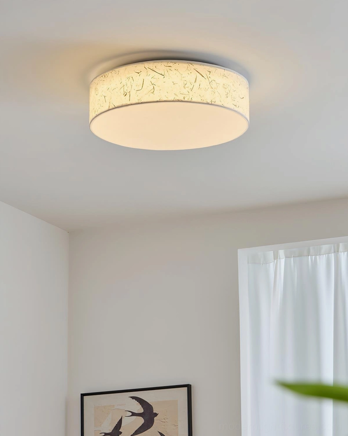 Hayden modern ceiling fixture featuring integrated LED technology and 50000 hour lifespan design benefits