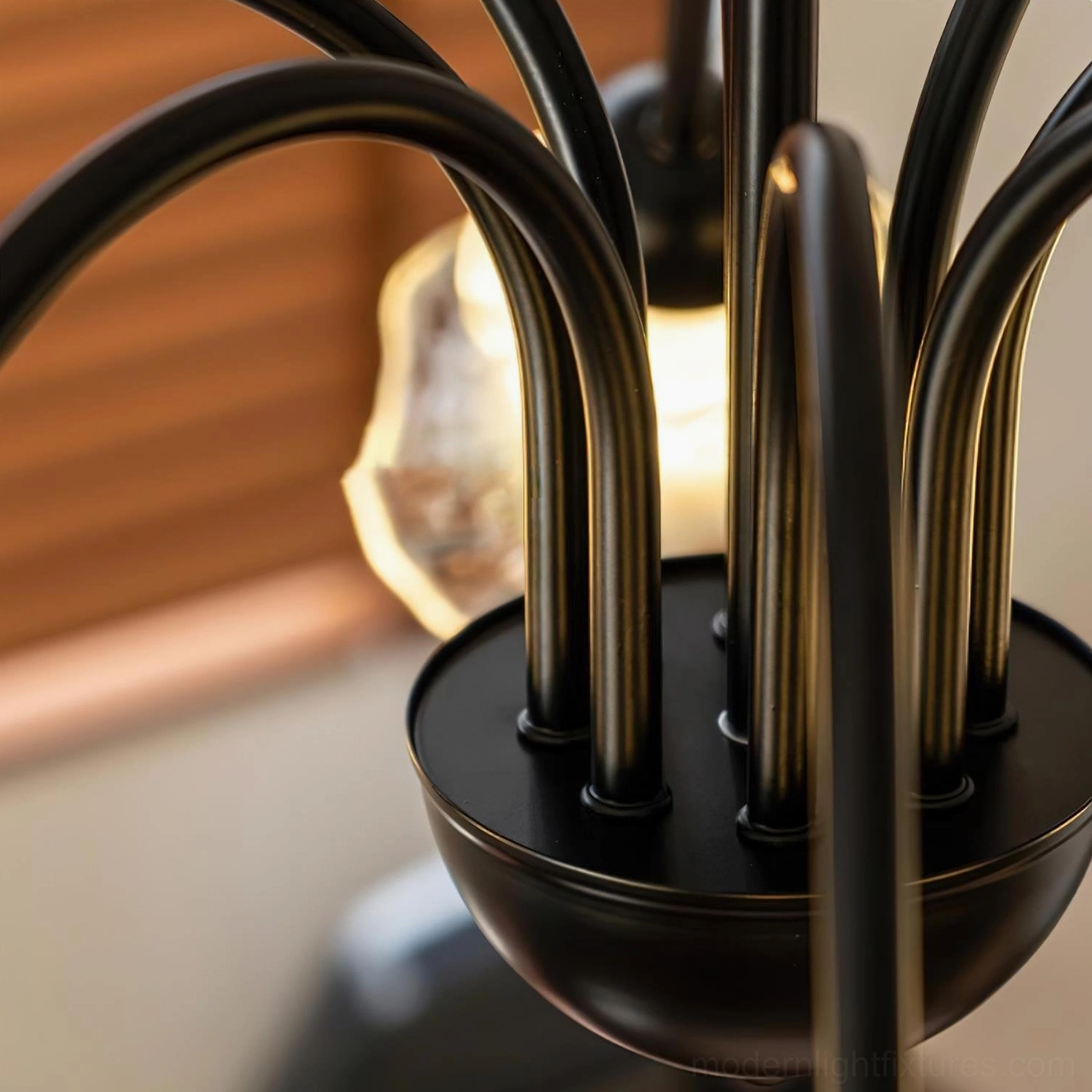 Lilura nature-inspired chandelier featuring organic petal glass forms and contemporary black finish