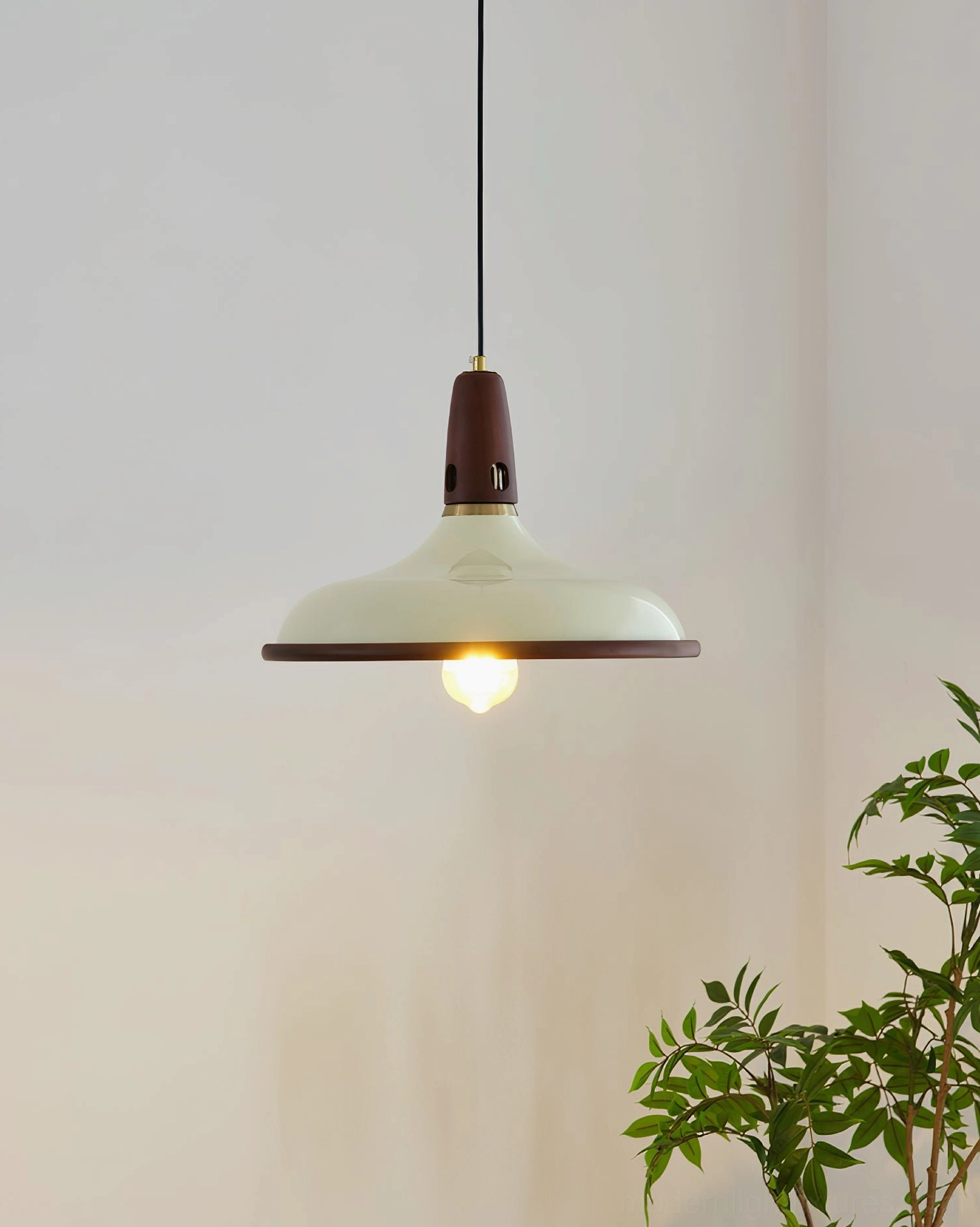 Single pendant light in minimalist interior space with green foliage and soft ambient lighting