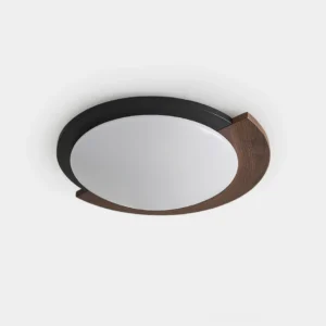 Meridian Crescent Ceiling Light - asymmetrical modern fixture with black metal frame and walnut wood accent detail, front view on white background