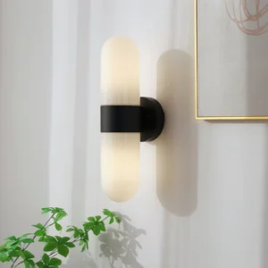 Modern wall sconce mounted on residential accent wall with matte black metal finish next to green plant