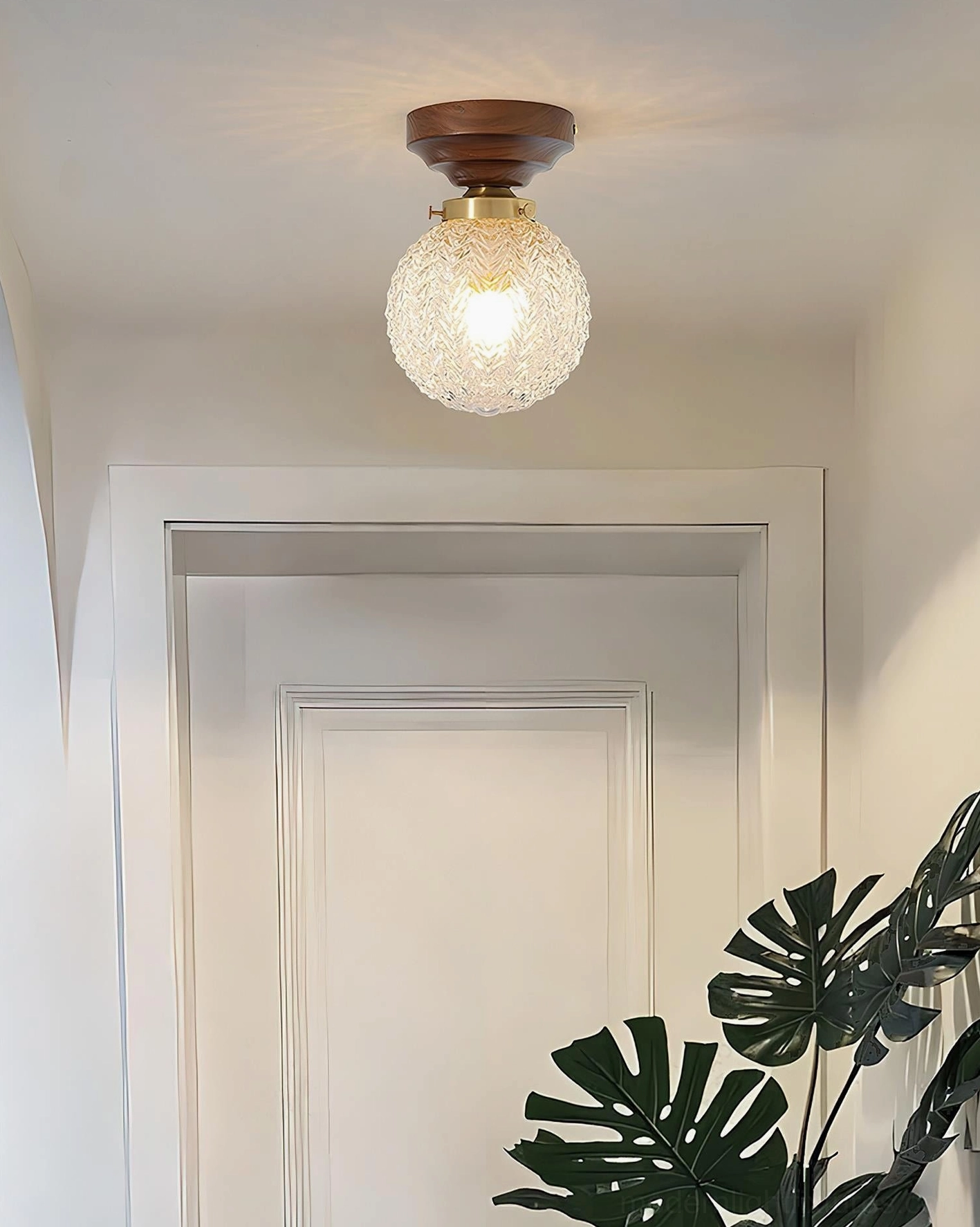Small textured glass sphere ceiling light in residential entry with decorative plant, warm ambient overhead lighting