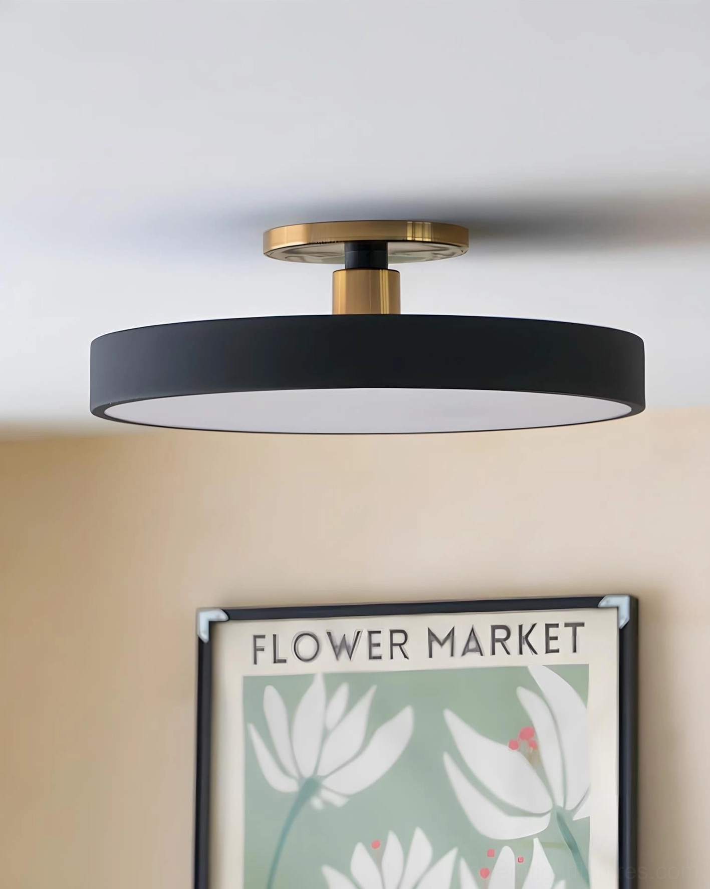 Minimalist black matte flush mount ceiling light with brass gold hardware, modern design