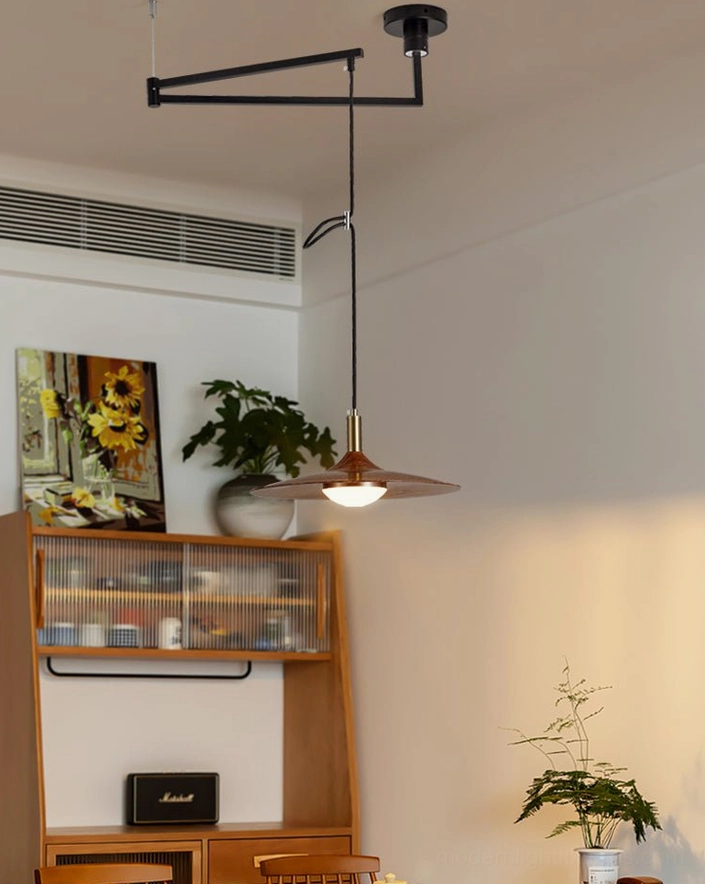 Adjustable swing arm pendant light with metal frame and wood disc shade in modern interior