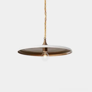 Solara disc pendant light with minimalist metal finish and exposed bulb - front view on white studio background