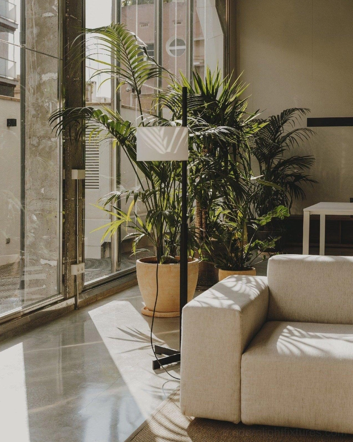 Slim modern floor lamp with white shade in contemporary living room with sofa and green plants