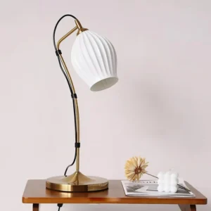 Contemporary brass gooseneck lamp on wooden side table with decorative styling, modern interior design showcase