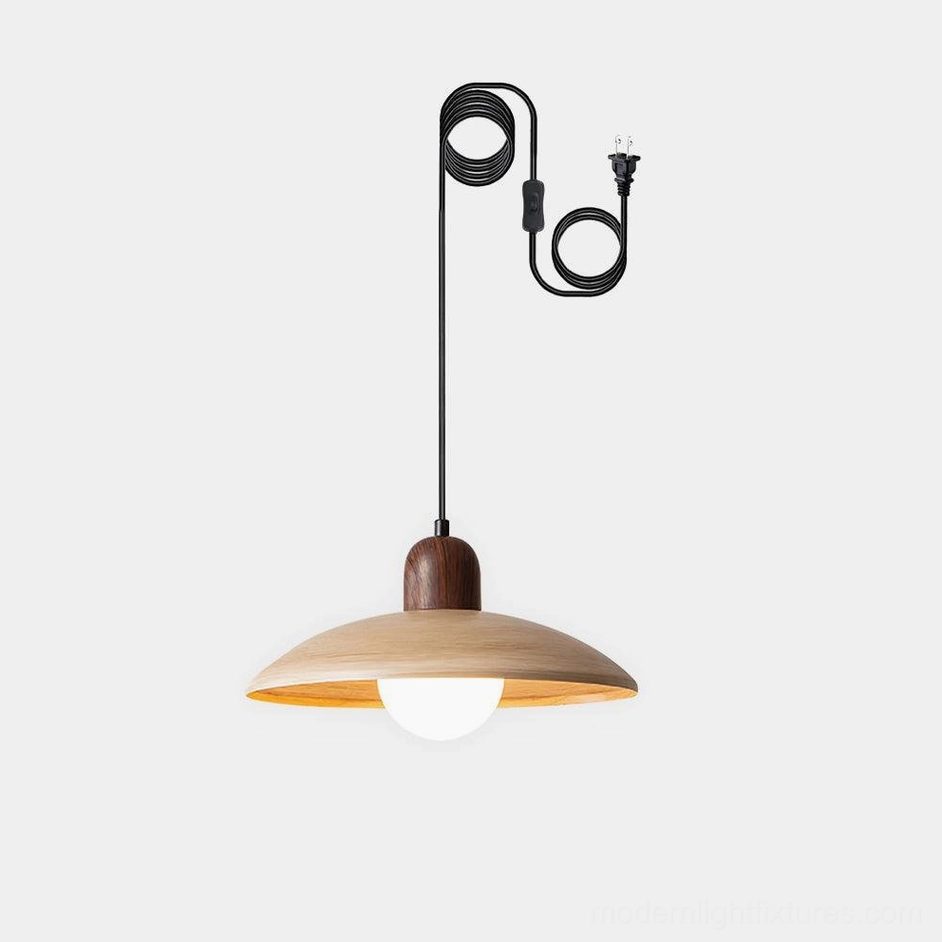 Modern plug-in pendant lamp with frosted glass shade and wood tone finish - studio product display