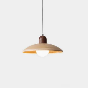 Modern wood pendant light with frosted glass shade on white background - contemporary disc pendant design