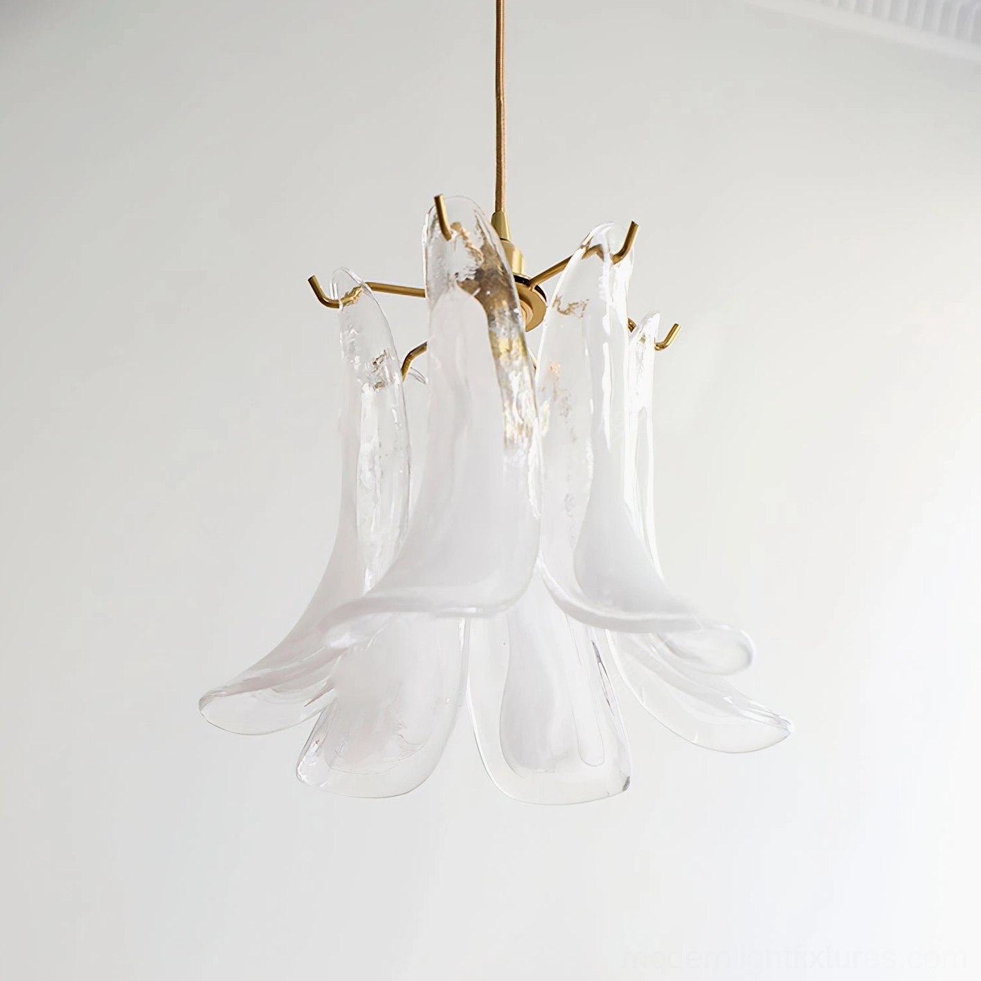 Clear hand-blown Murano glass pendant lamp with organic petal design and brass frame, studio backdrop