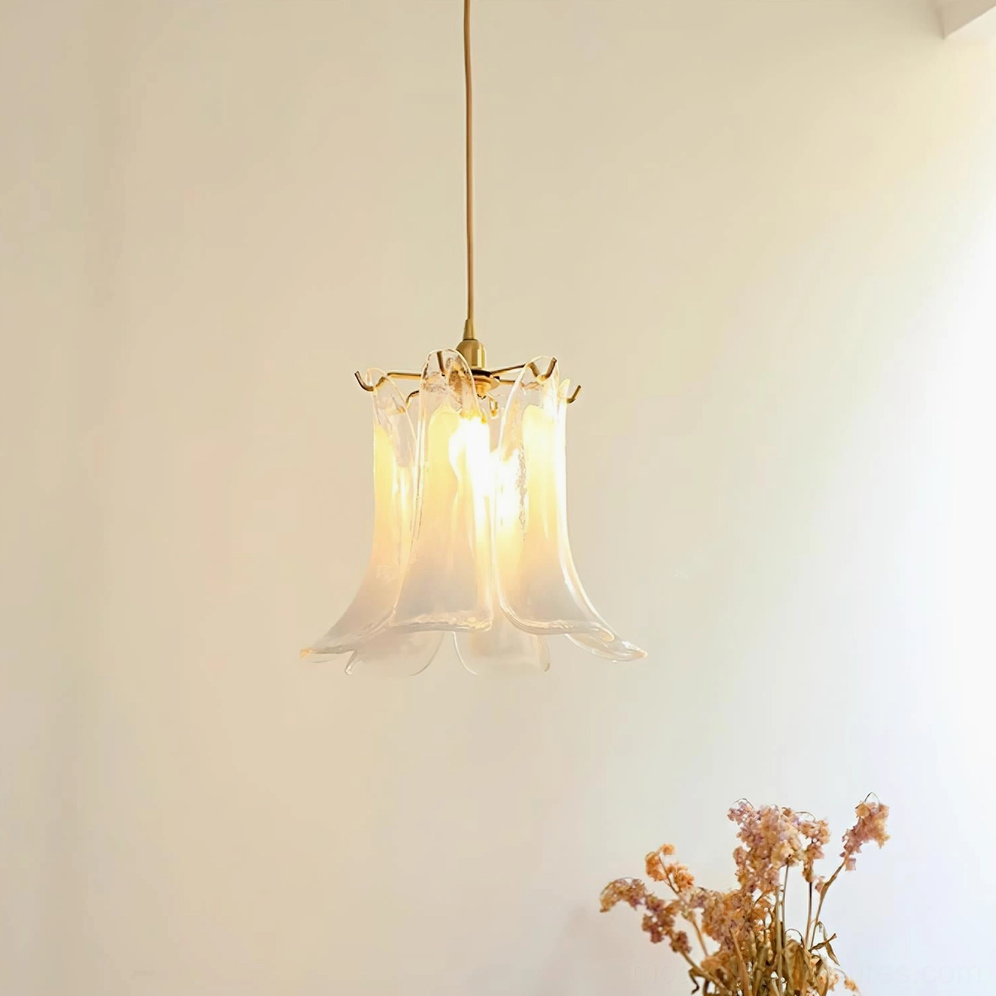 Murano glass pendant light showcase from above angle, revealing petal-shaped glass dome and brass hanging fixture