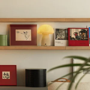 Sculptural mushroom lamp displayed on wooden home shelf with minimalist decor and art objects