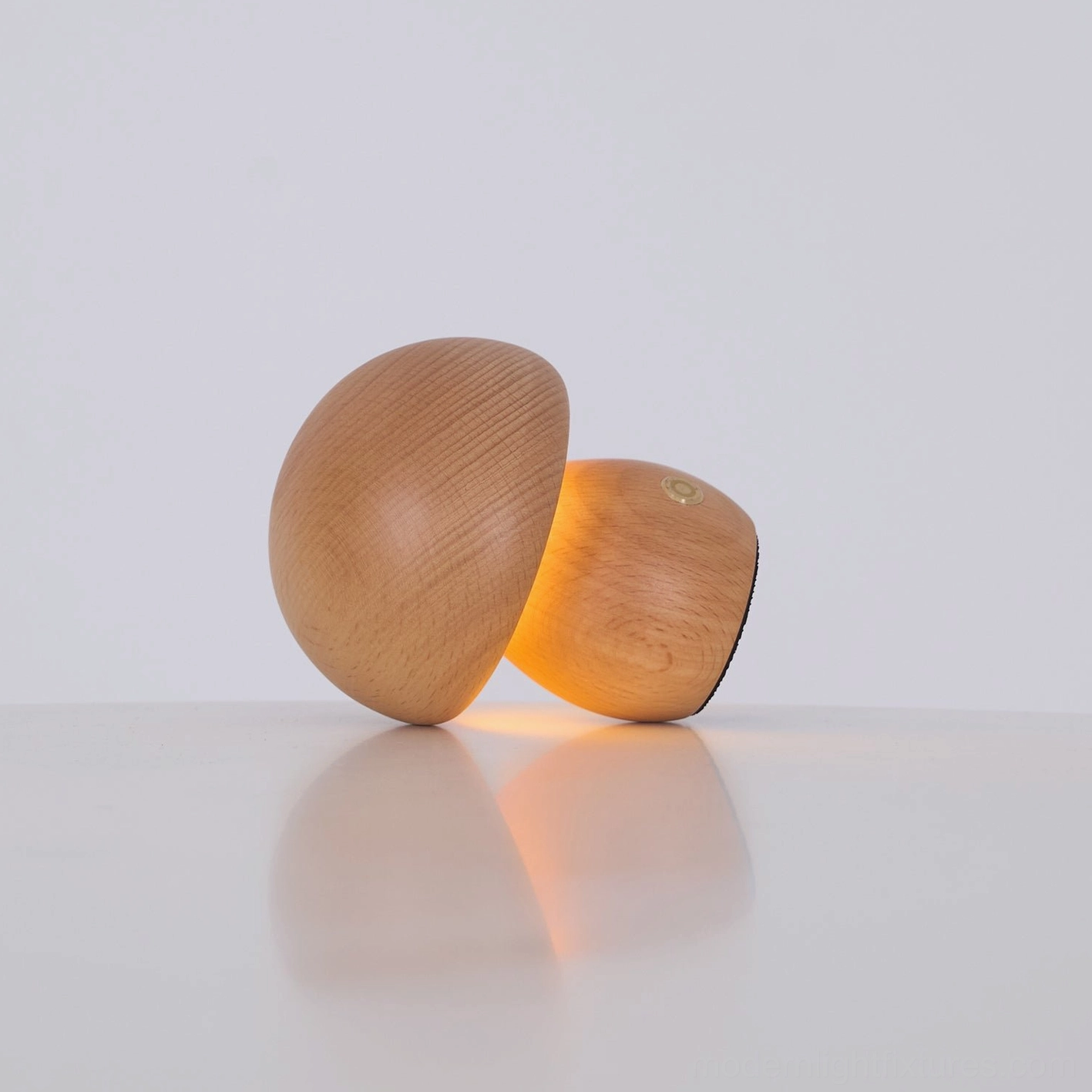 Mushroom table lamp home library bookcase showing integrated shelf lighting for reading environment