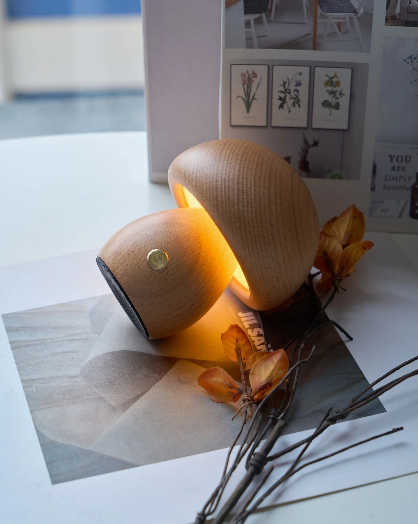 Mushroom table lamp retail shop display showing visual merchandising and professional styling arrangement
