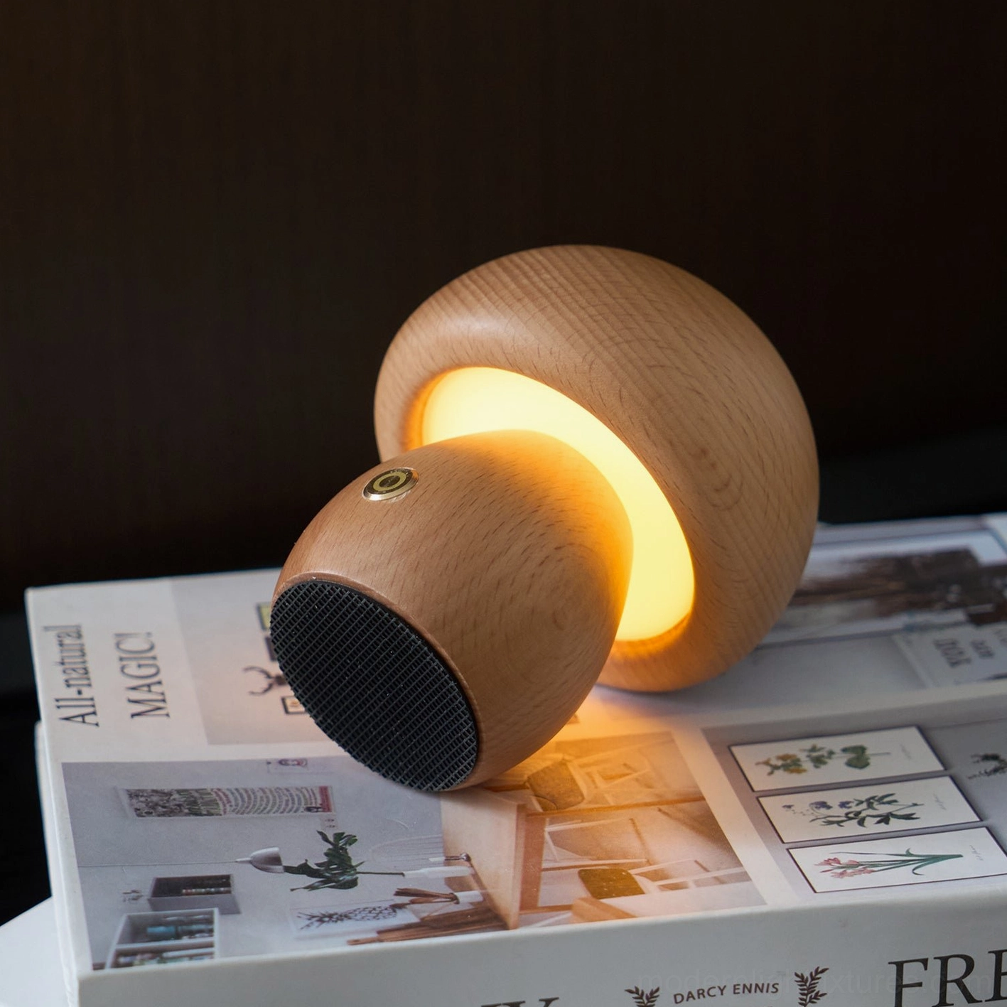 Wooden mushroom table lamp studio workspace showing productivity lighting with adjustable color modes