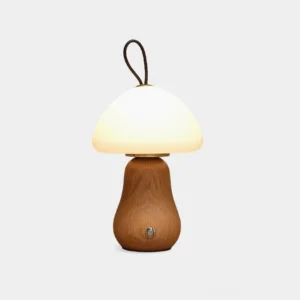 Mushroom table lamp with frosted acrylic dome shade and solid wooden base, front studio view on white background