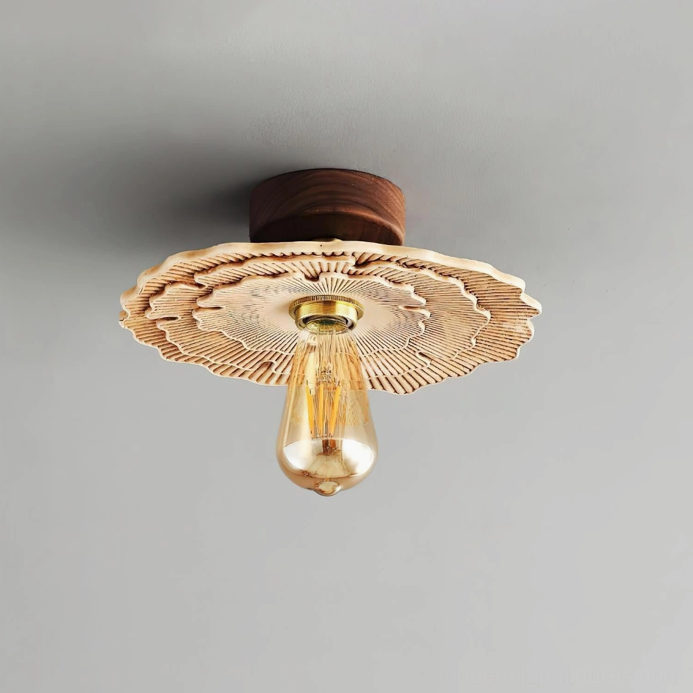 Myco ceiling light fixture showing wood canopy, brass mounting hardware and overall sculptural form, assembly detail view