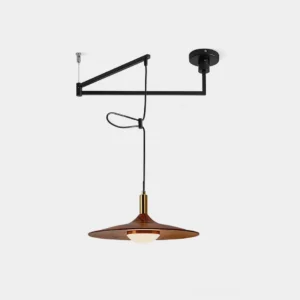 Nano adjustable swing arm pendant light with matte black metal frame and walnut wood shade, front studio view