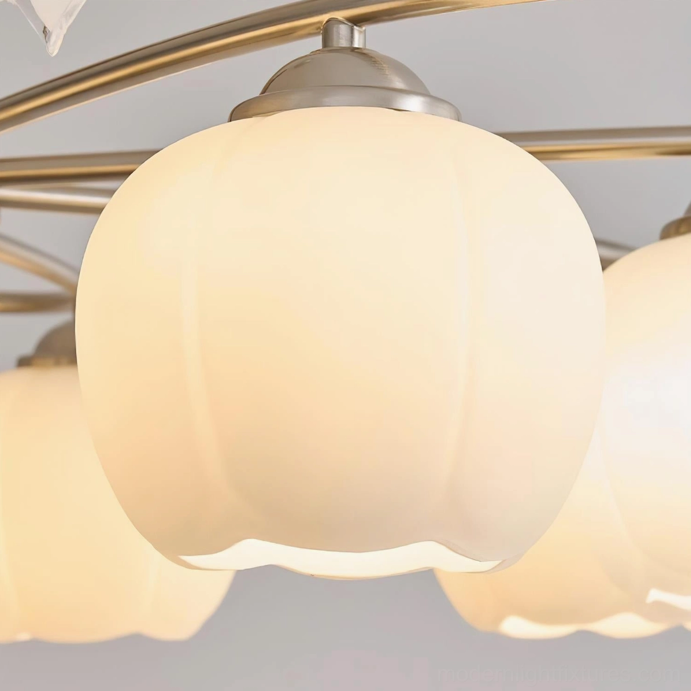 Large 8-head Nuvafleur botanical chandelier overhead view showing frosted glass sphere configuration