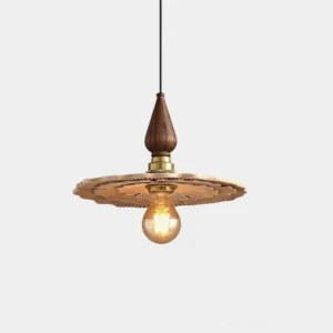 Organic resin pendant lamp with hand-etched sculptural shade and wooden finial detail, front close-up studio view