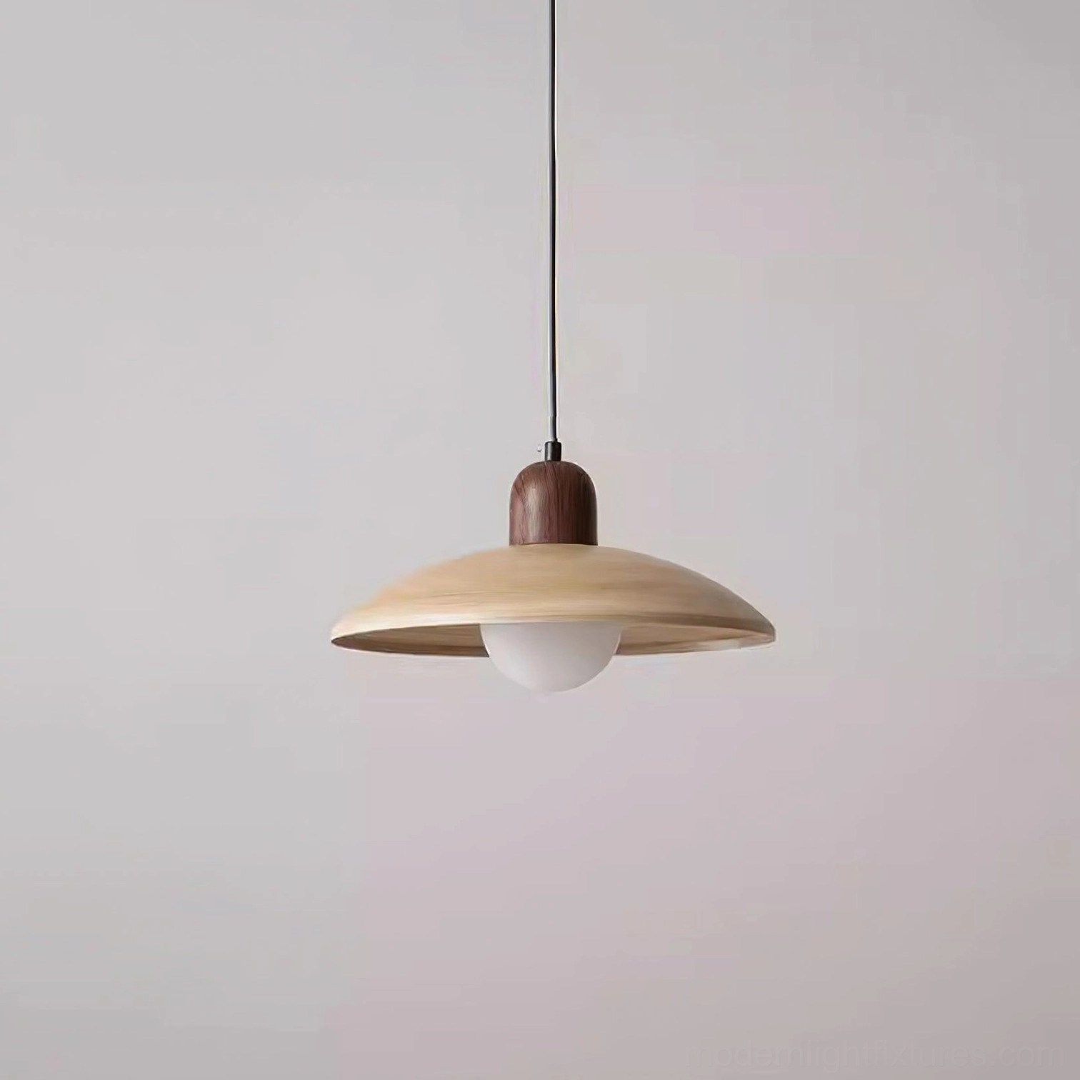 Modern pendant lighting fixture with global voltage AC 110-240V compatibility
