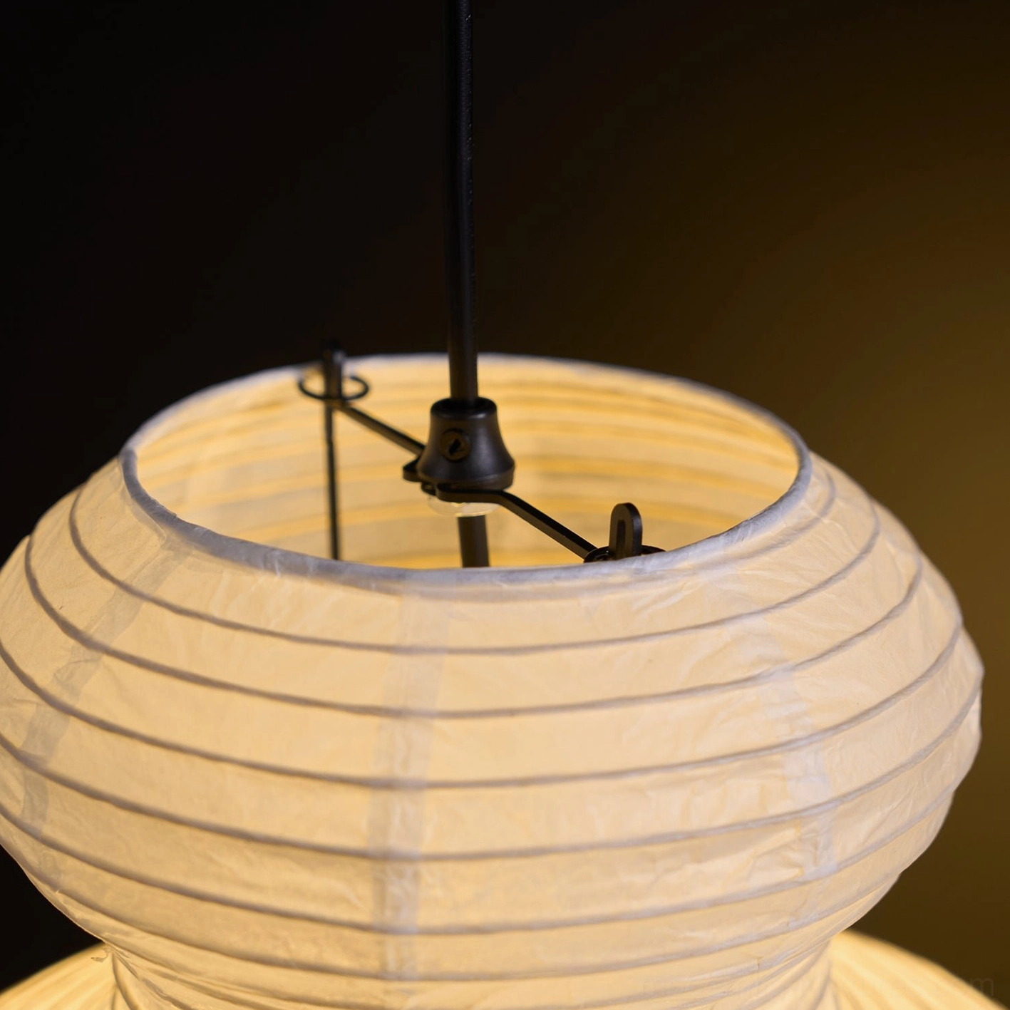 Contemporary pendant light pair at matched heights creating formal composed ceiling arrangement