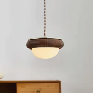 Contemporary hanging pendant light with dark walnut wood finish and brass trim in styled interior setting