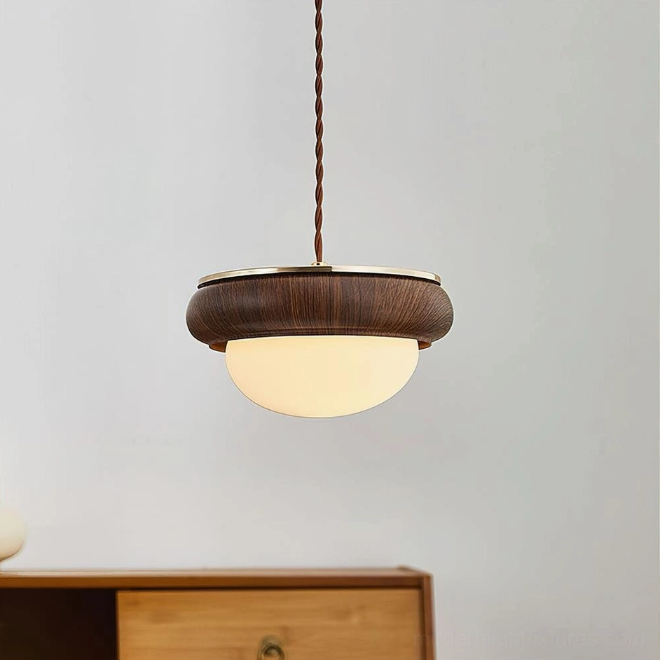 Contemporary hanging pendant light with dark walnut wood finish and brass trim in styled interior setting