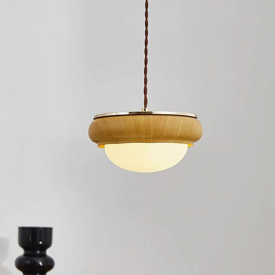 Modern pendant fixture wood color finish frosted glass globe contemporary interior lighting