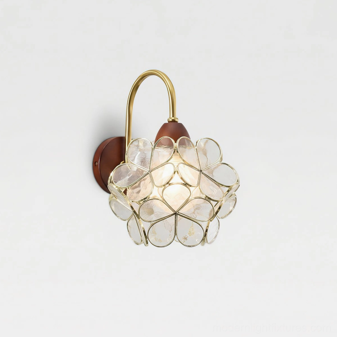 Petalora clear glass wall sconce with brass frame minimalist Scandinavian design aesthetic